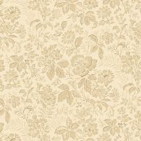 mfR021177D-Cream