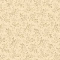 mfR021181D-Cream