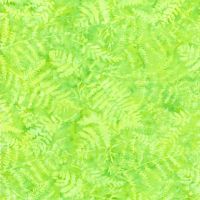 ttTONGA-B3316-LIME