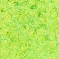 ttTONGA-B1063-LIME