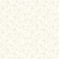 mfR021396D-Cream