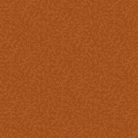 mfR621369D-Rust