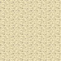 mfR171592D-Cream