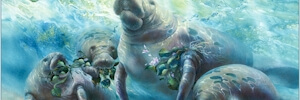 Gentle Giants