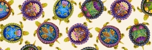 Indigenous Turtles